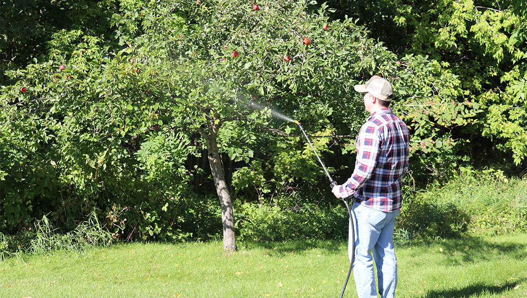 Spraying