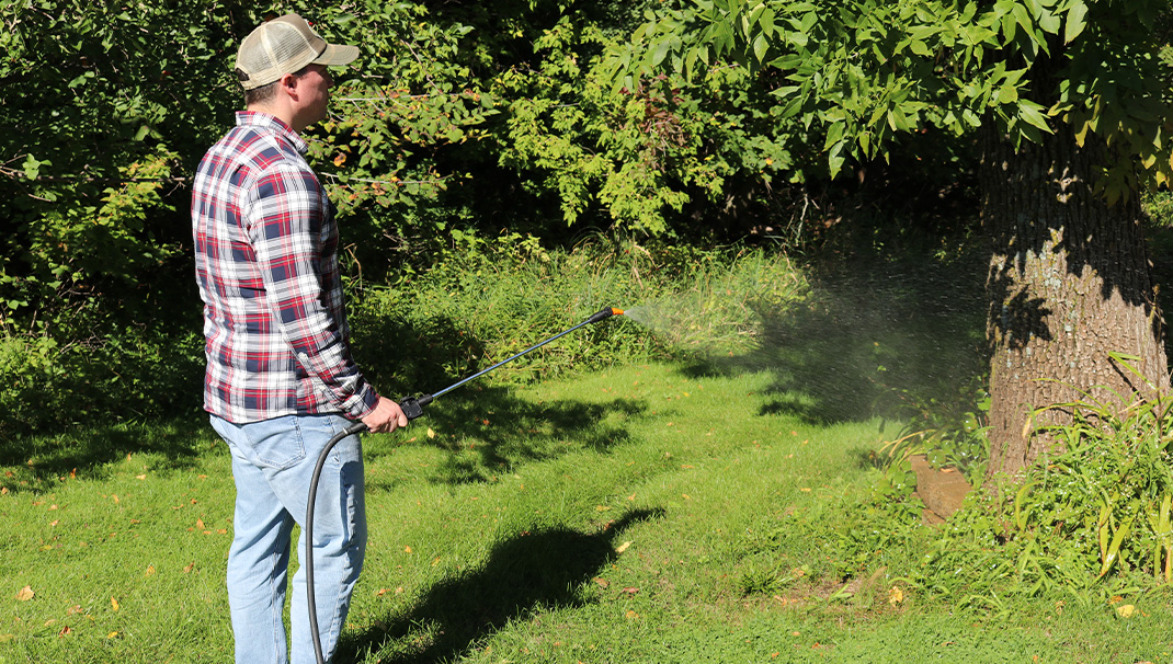 Spraying