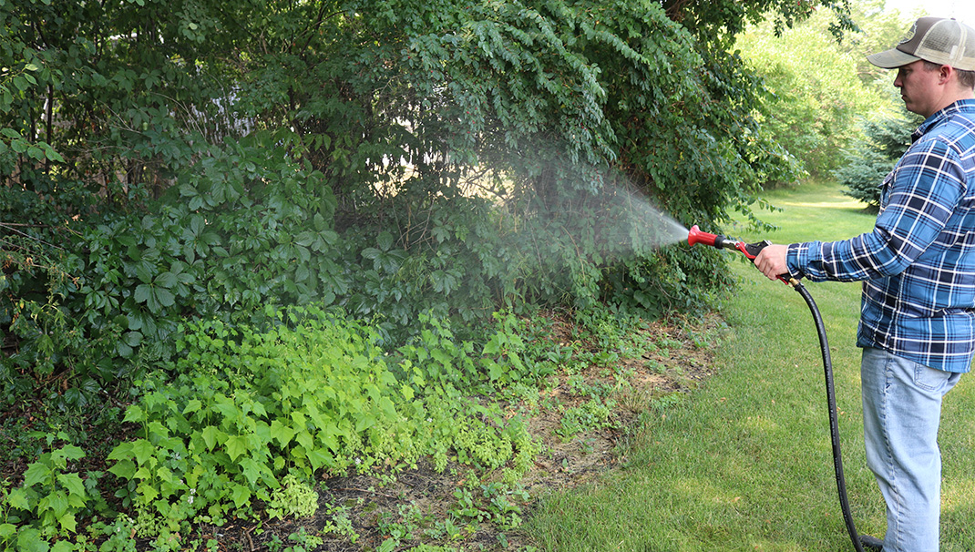 Spraying