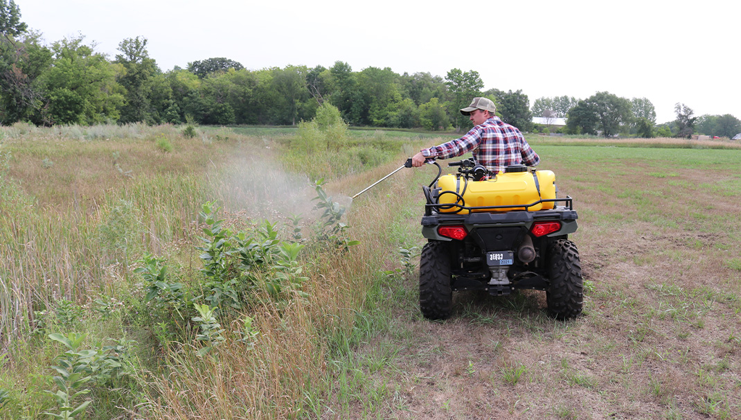 Spraying